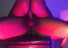 Black Honey Riding A Large Ebony Knob