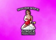 Housewifes Private Desires