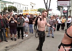 Knob Thirsty Tart Cattle Prodded and Drilled at Dore Alley Street Honest